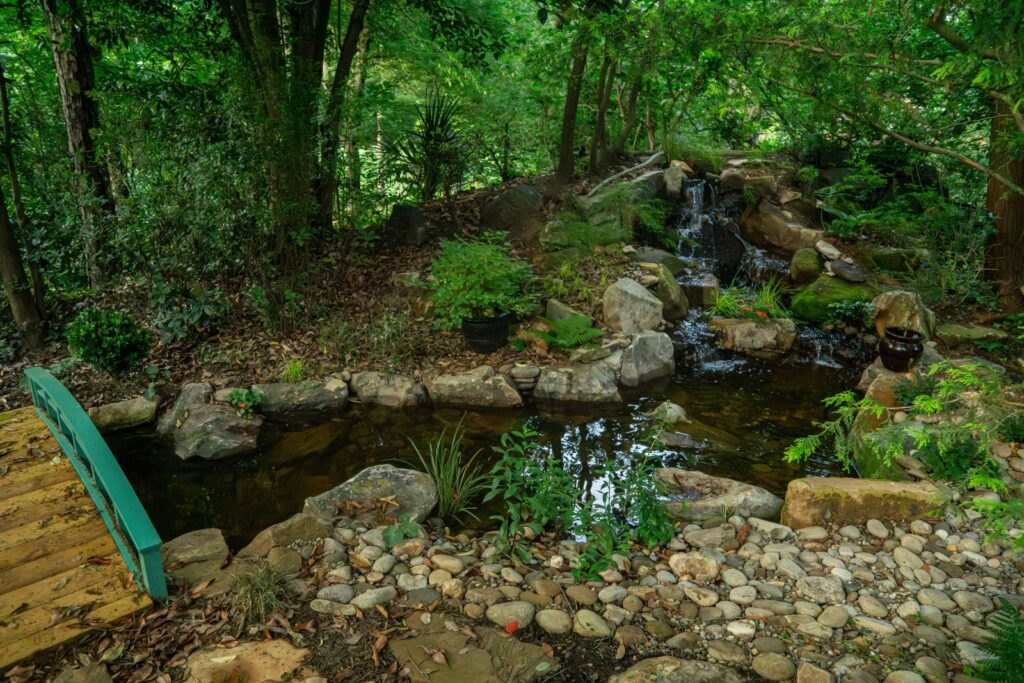 Tall Waterfall into Pond