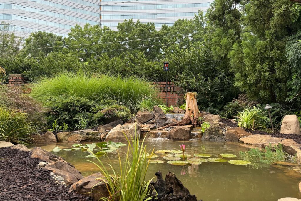 After photo of waterfall and pond