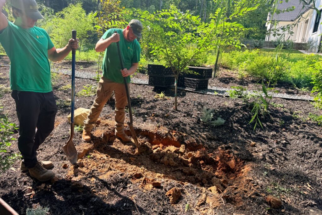digging the hole for the basin