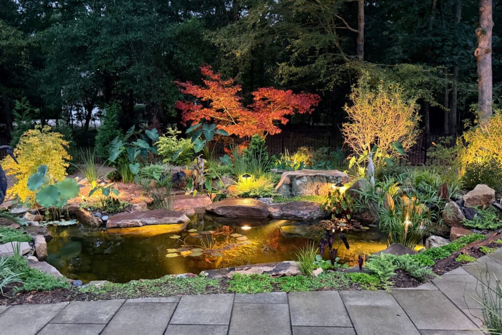 Pond with landscape lighitng