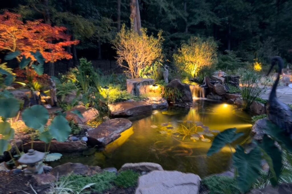Pond with underwater lighting