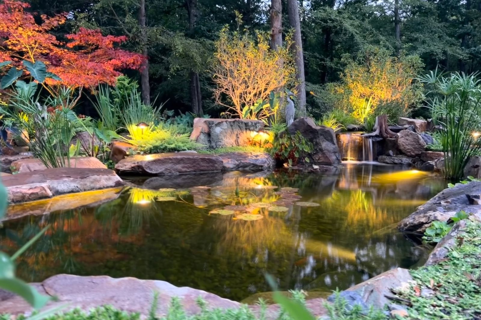 Pond with a waterfall and maple trees in background