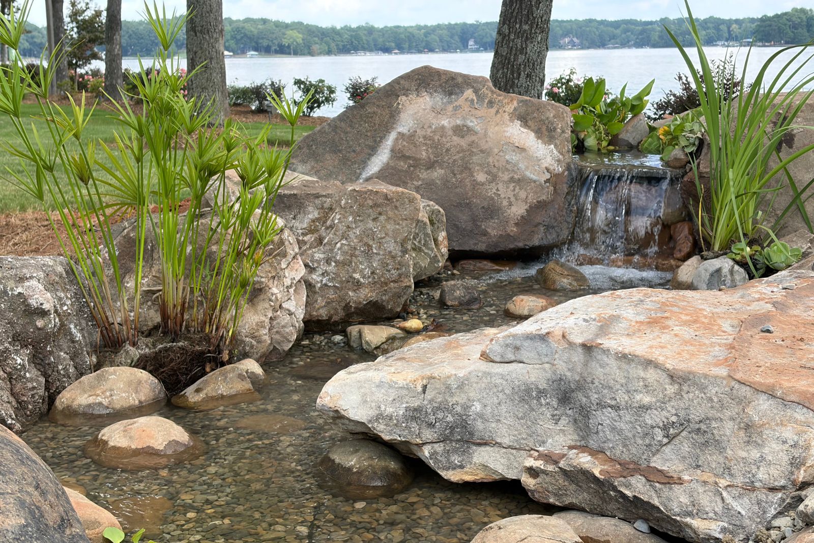 stream and waterfall with aquatic plantings